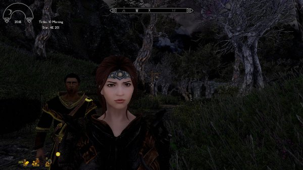 skyrim special edition enb crash